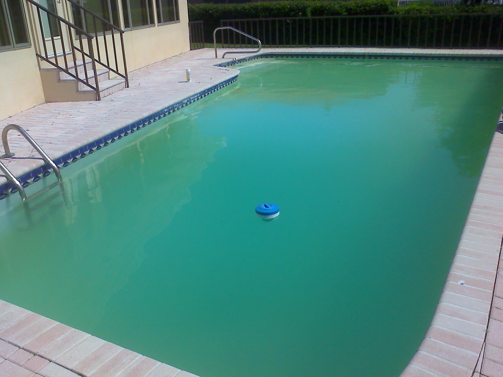 Cloudy green swimming pool water in need of treatment